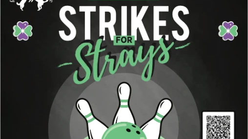 StrikesforStrays